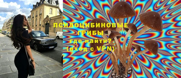 мдпв Протвино