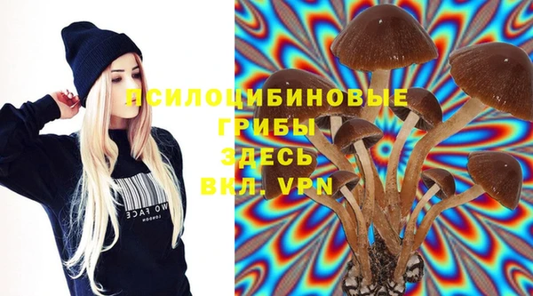 мдпв Протвино