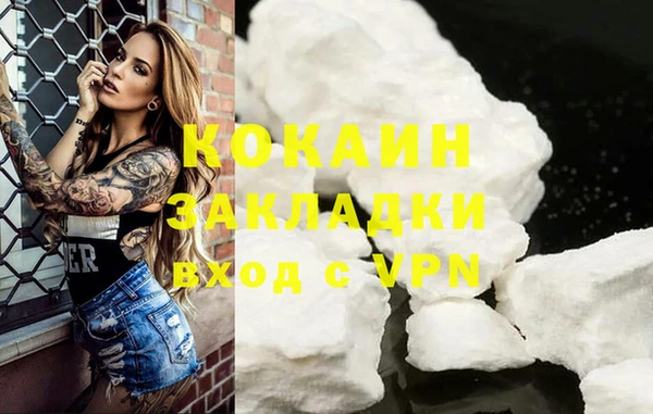 мдпв Протвино