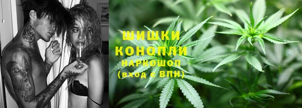 мдпв Протвино