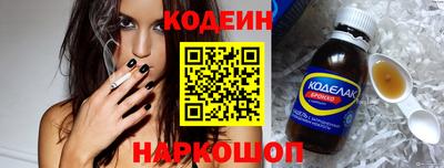 индика Гатчина