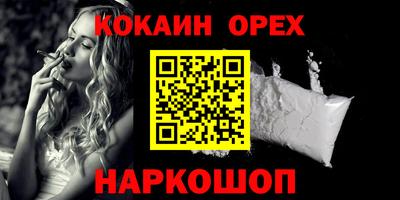 индика Гатчина