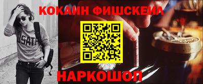 индика Гатчина