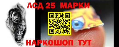 индика Гатчина