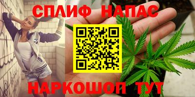 индика Гатчина