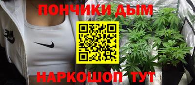 индика Гатчина
