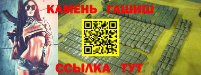 индика Гатчина