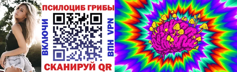 KRAKEN ссылки  Александров  Галлюциногенные грибы мухоморы 