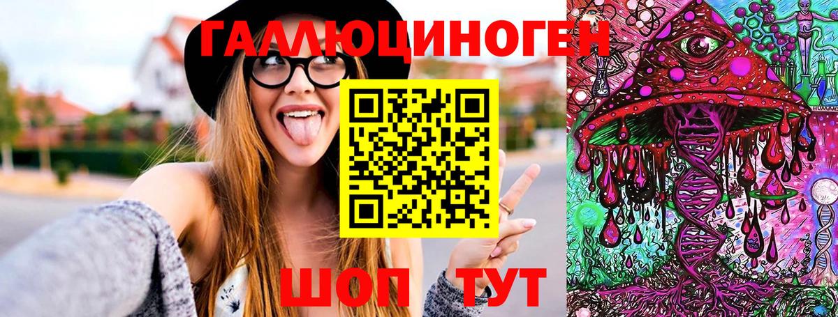Галлюциногенные грибы Psilocybe Александров