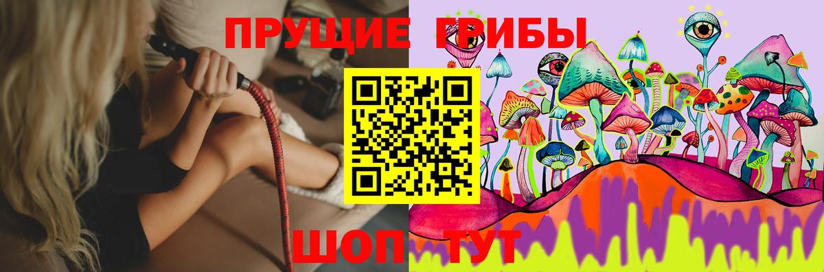 Псилоцибиновые грибы мухоморы Александров