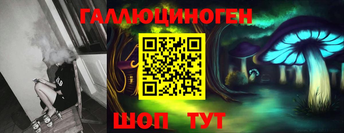 Галлюциногенные грибы Psilocybe  Псилоцибиновые грибы GOLDEN TEACHER  Александров 